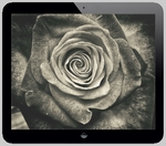 Digital Pad