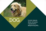 Dog Care House FrontSide