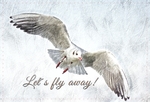 Let's Fly Away FrontSide